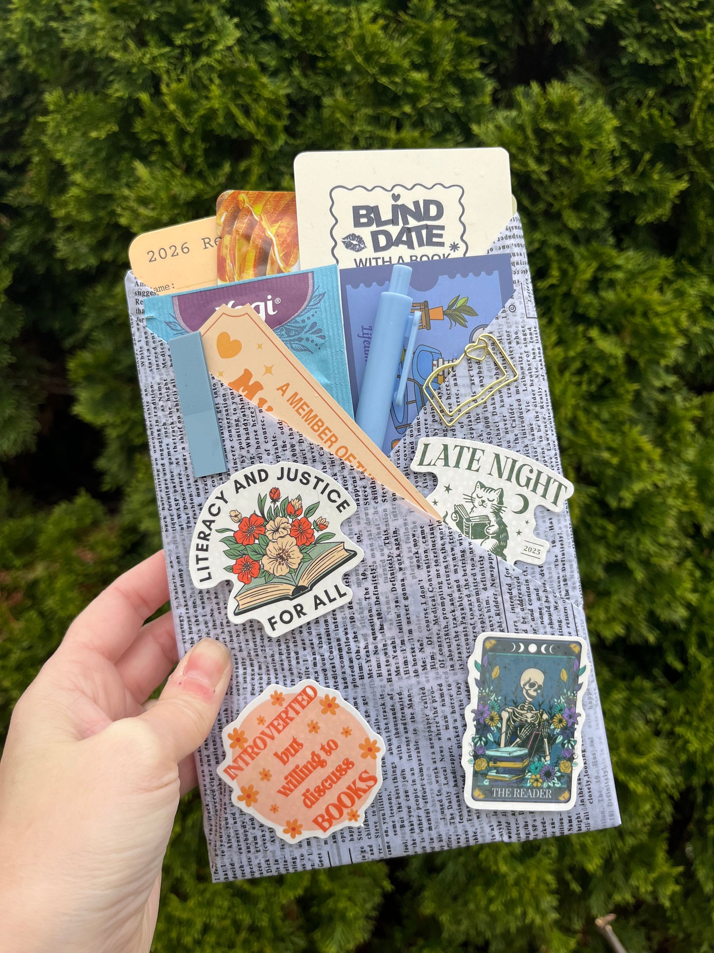 Blind Date with a Book - Mystery/Thriller